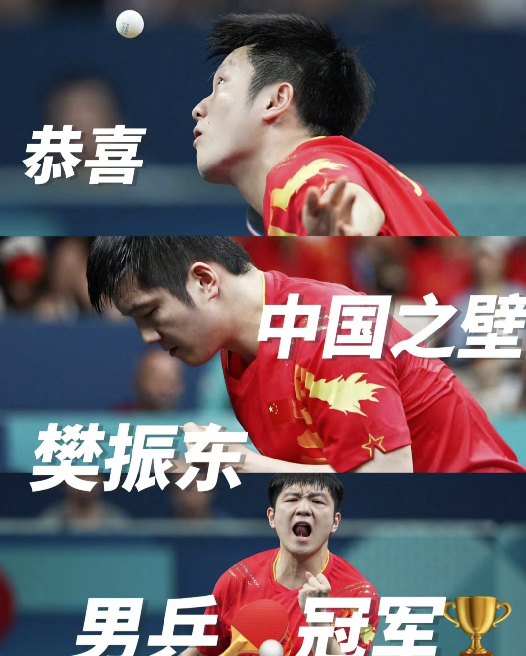 瑞典队完胜中国队,樊振东点燃赛场 瑞典队完胜中国队,樊振东点燃赛场