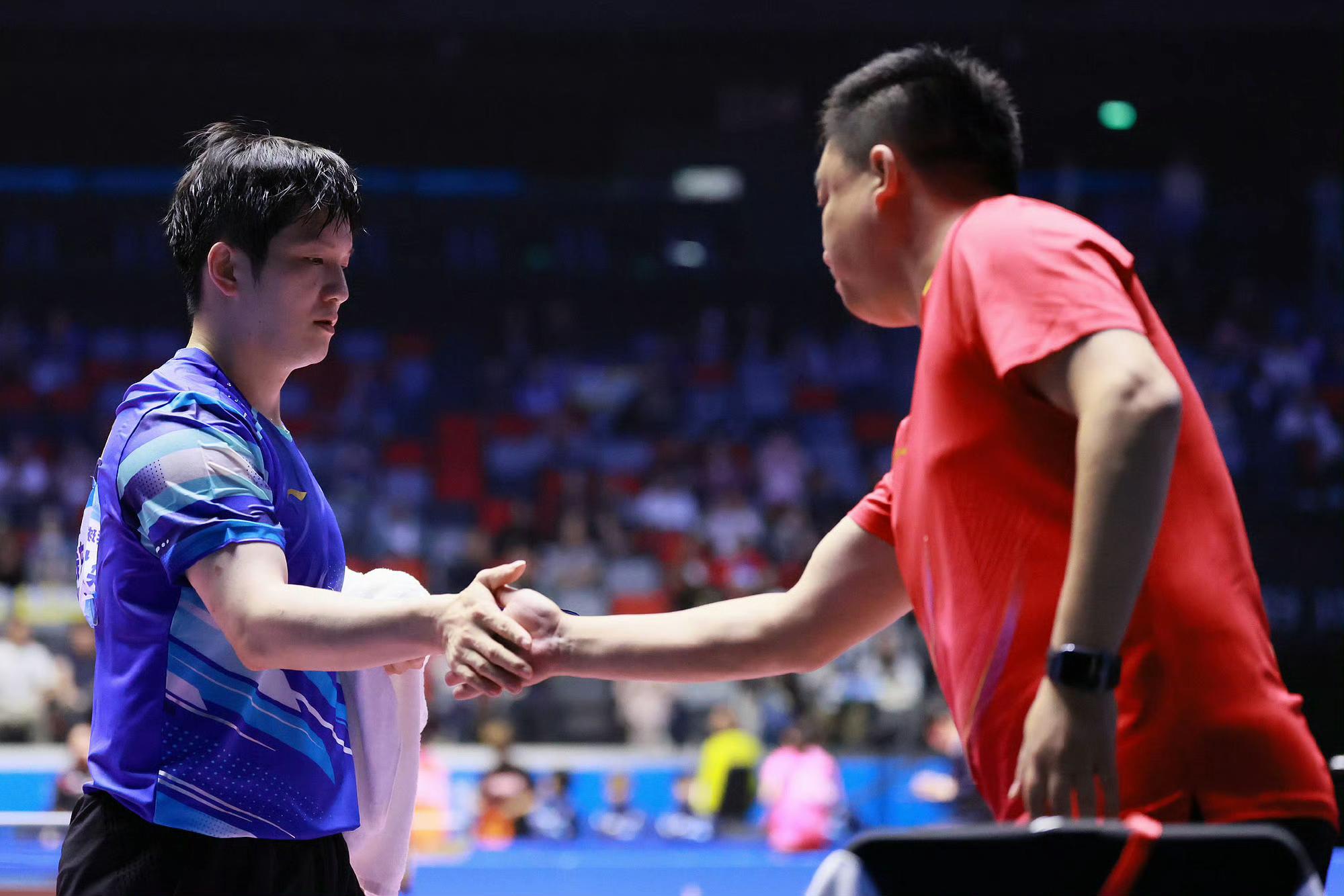 瑞典队翻盘日本队，樊振东点燃赛场