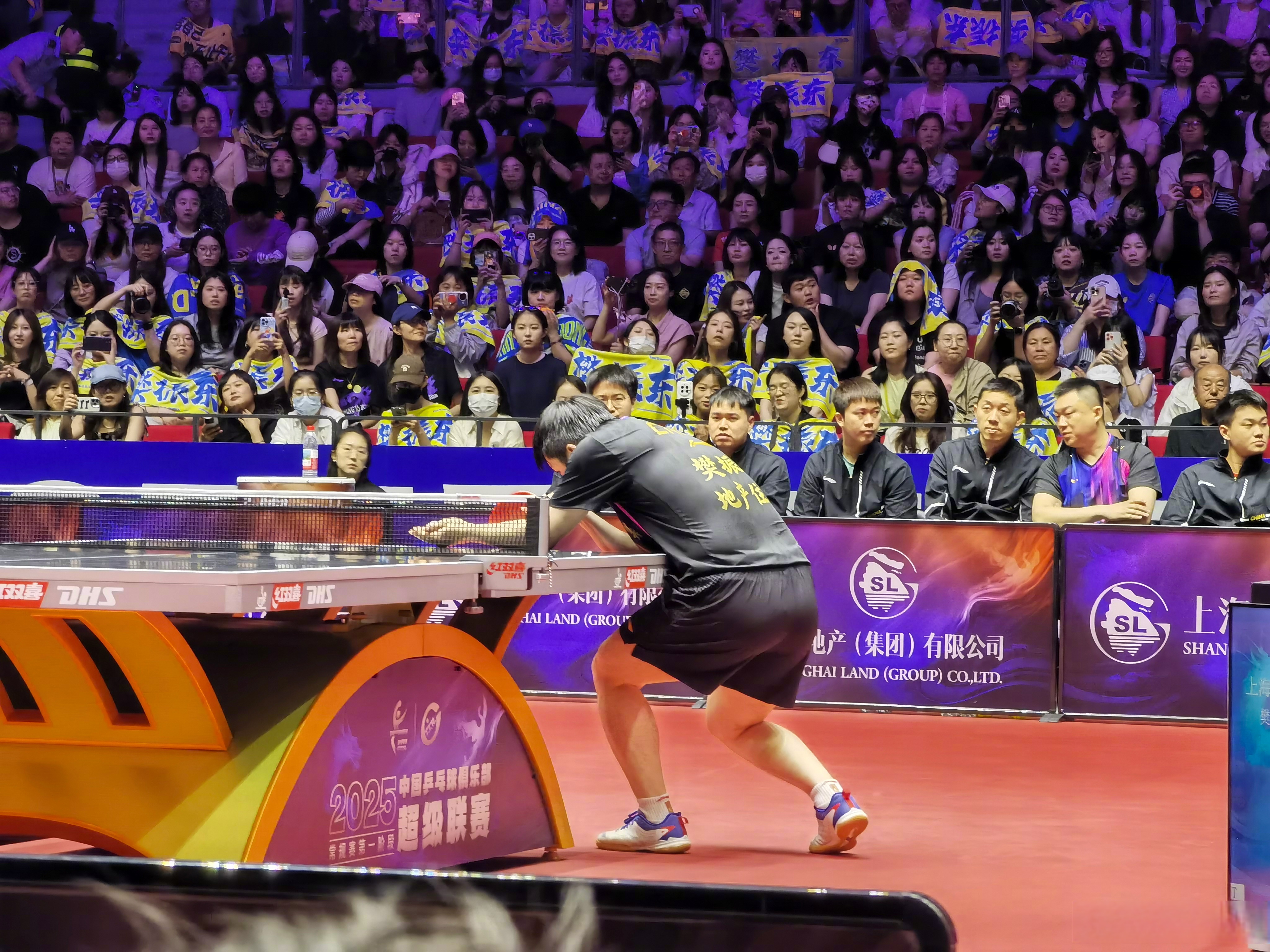 葡萄牙队横扫日本队，樊振东刷新纪录