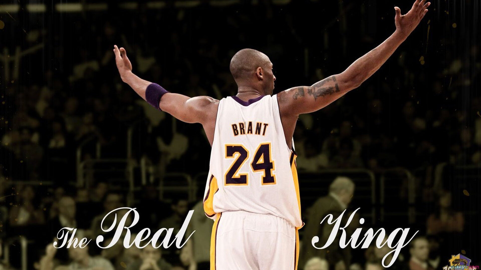 绿军铁蹄踏碎骑士！公牛战术体系显神威，塔图姆无解单打撕碎防线